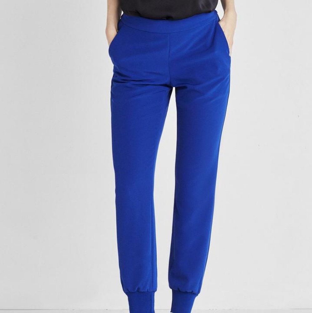 Express Royal Blue Jogger Dress Pants